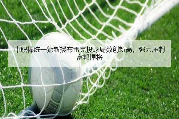 zhong-zhi-bang-tong-yi-shi-xin-yuan-bu-lei-ke-tou-qiu-ju-shu-chuang-xin-gao-qiang-li-ya-zhi-fu-bang-han-jiang-2-801.jpg