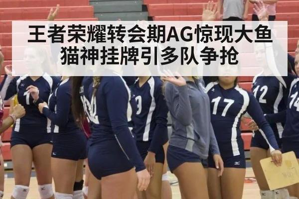 王者荣耀转会期AG惊现大鱼 猫神挂牌引多队争抢
